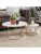 Lisburn Designs Barnes Set Of 2 Nest Of Tables – White/Gold